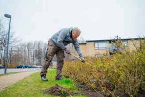 Levende hegn til haven